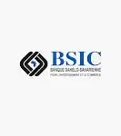 BSIC Niger SA